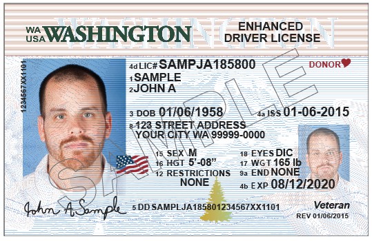 Mn enhanced drivers license requirements